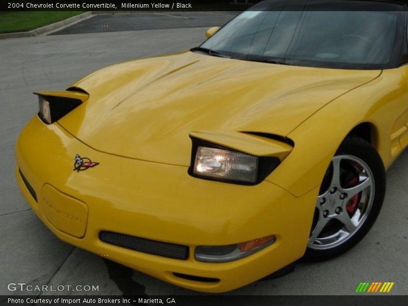 Millenium Yellow / Black 2004 Chevrolet Corvette Convertible