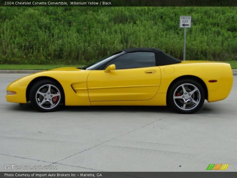 Millenium Yellow / Black 2004 Chevrolet Corvette Convertible