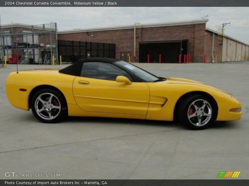 Millenium Yellow / Black 2004 Chevrolet Corvette Convertible