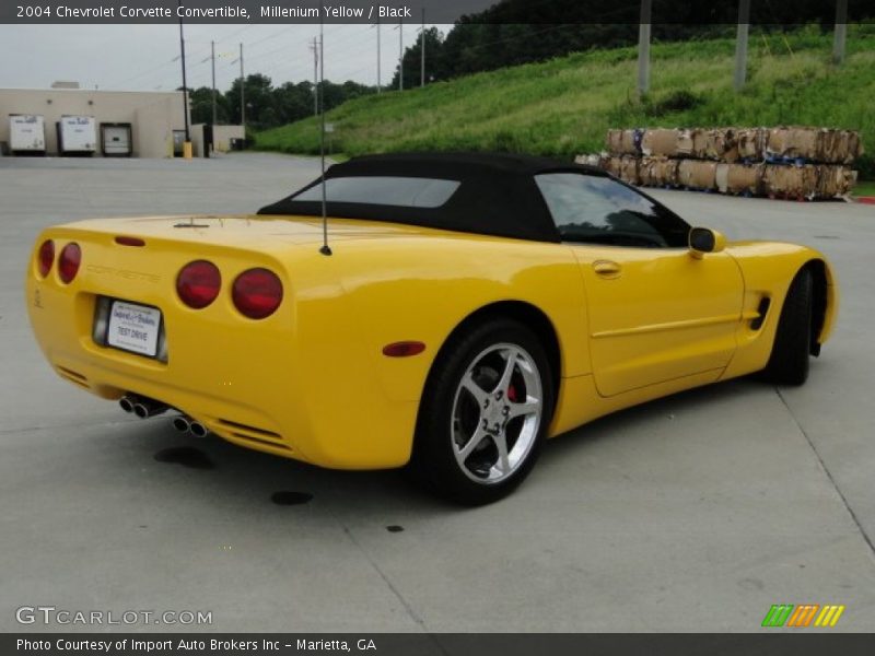 Millenium Yellow / Black 2004 Chevrolet Corvette Convertible