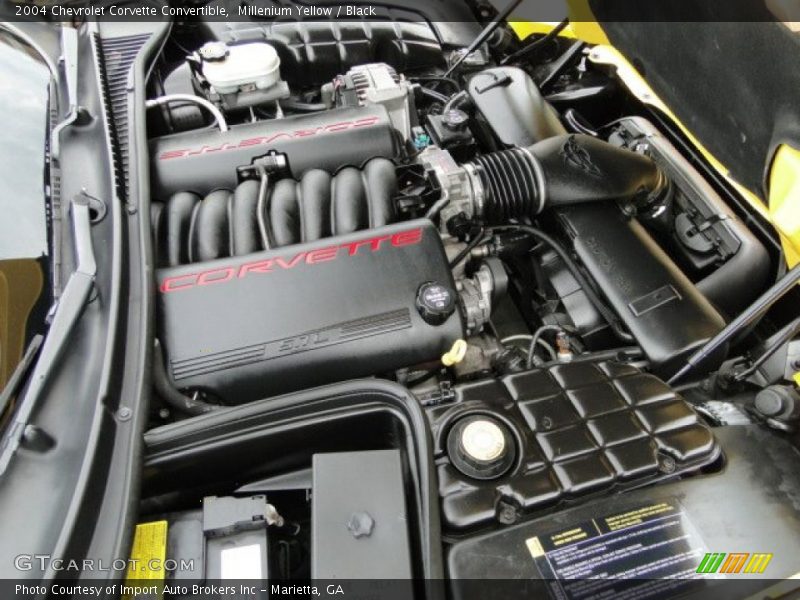 Millenium Yellow / Black 2004 Chevrolet Corvette Convertible