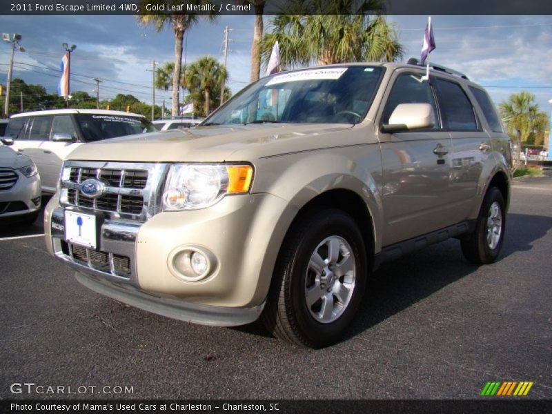 Gold Leaf Metallic / Camel 2011 Ford Escape Limited 4WD