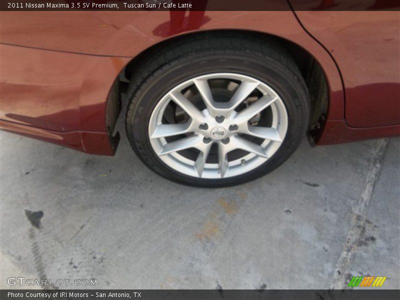 Tuscan Sun / Cafe Latte 2011 Nissan Maxima 3.5 SV Premium