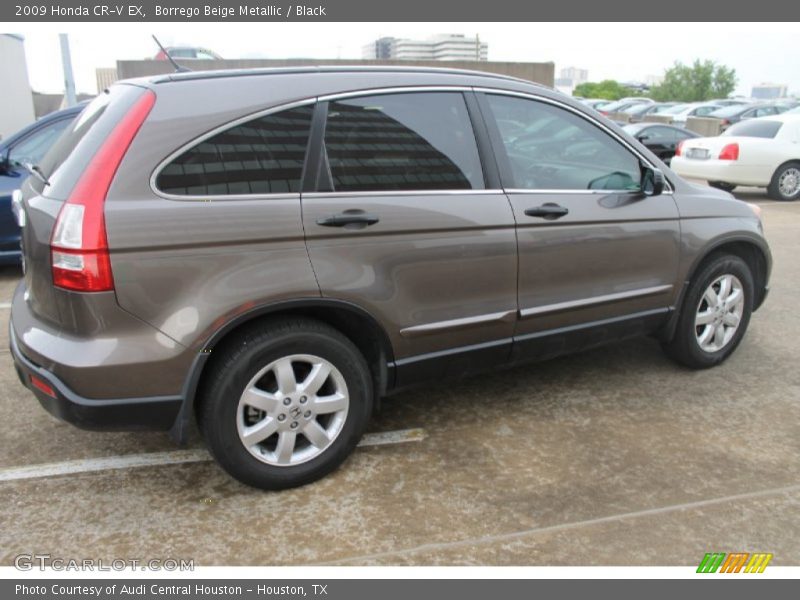 Borrego Beige Metallic / Black 2009 Honda CR-V EX