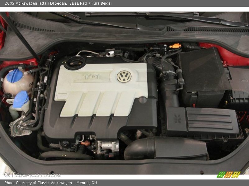 Salsa Red / Pure Beige 2009 Volkswagen Jetta TDI Sedan