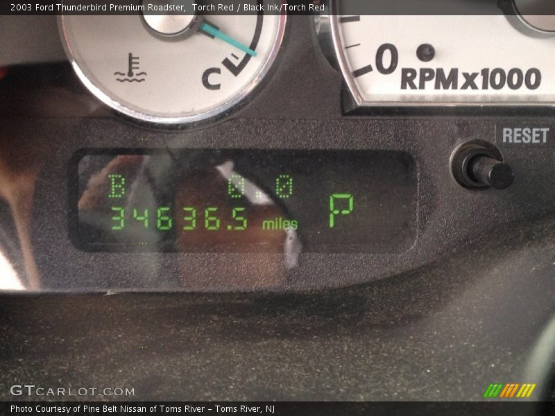 Torch Red / Black Ink/Torch Red 2003 Ford Thunderbird Premium Roadster
