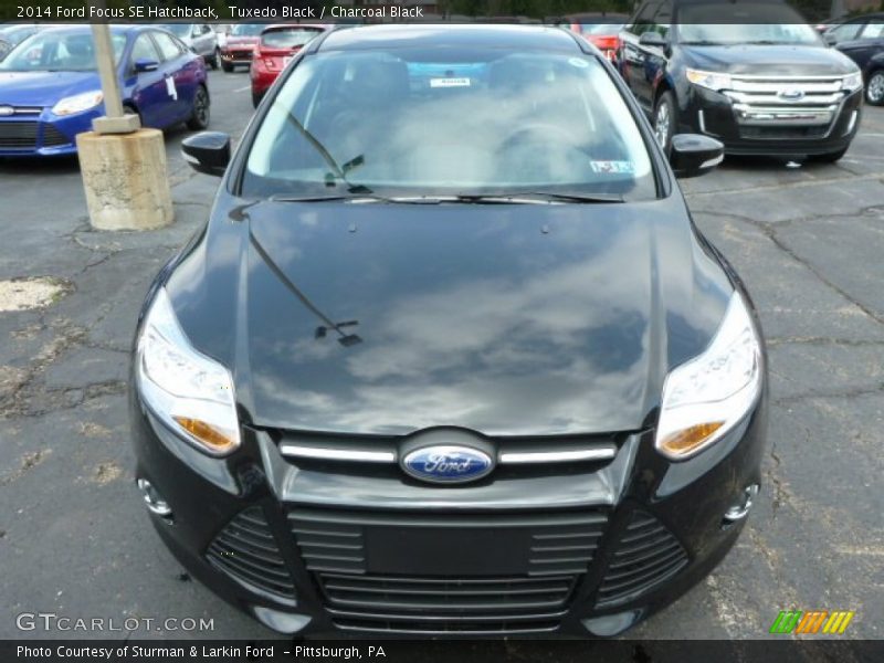  2014 Focus SE Hatchback Tuxedo Black