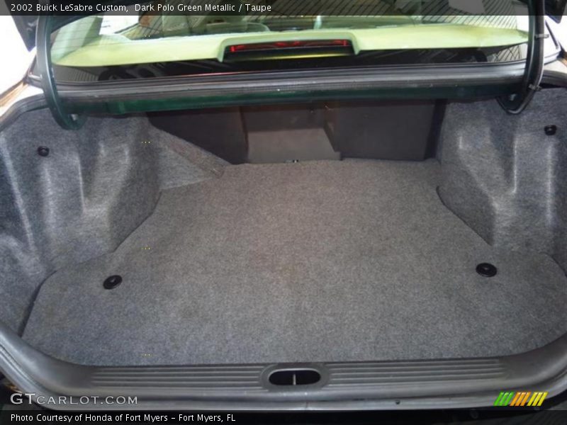 Dark Polo Green Metallic / Taupe 2002 Buick LeSabre Custom