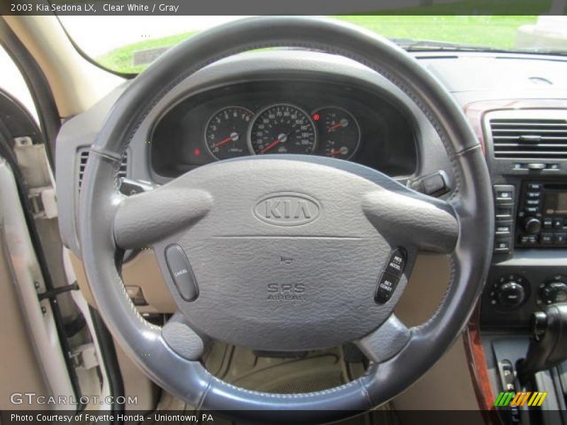 Clear White / Gray 2003 Kia Sedona LX