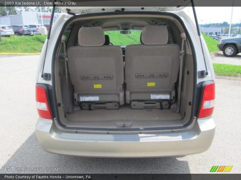 Clear White / Gray 2003 Kia Sedona LX