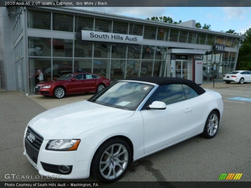 Ibis White / Black 2010 Audi A5 2.0T quattro Cabriolet