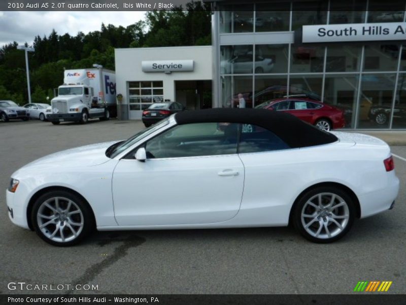 Ibis White / Black 2010 Audi A5 2.0T quattro Cabriolet