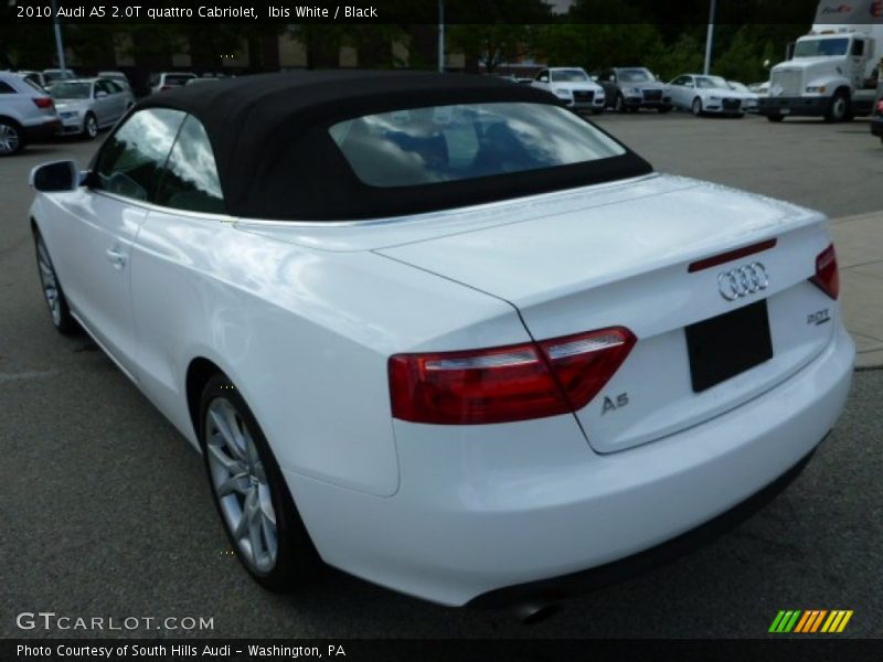 Ibis White / Black 2010 Audi A5 2.0T quattro Cabriolet
