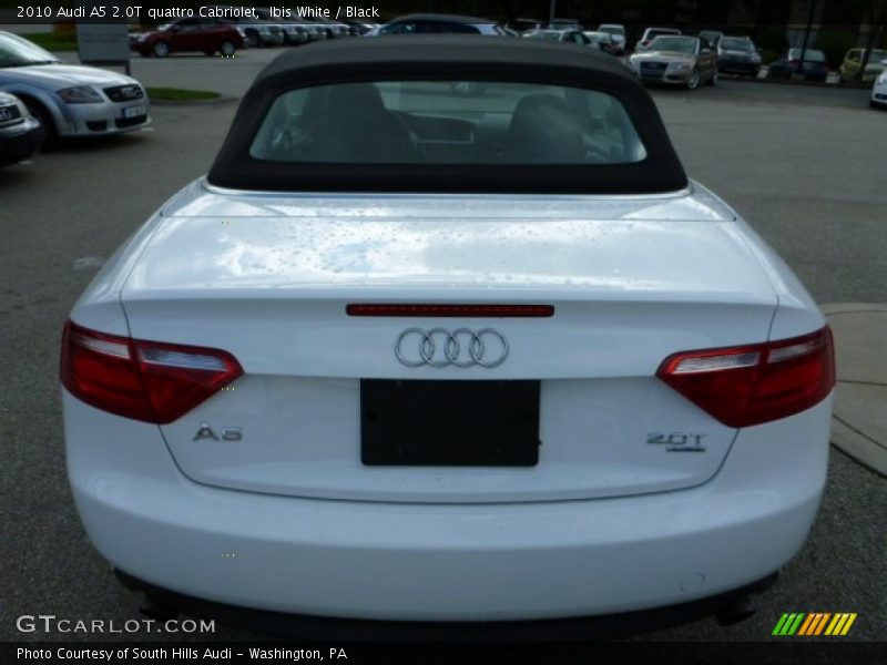 Ibis White / Black 2010 Audi A5 2.0T quattro Cabriolet