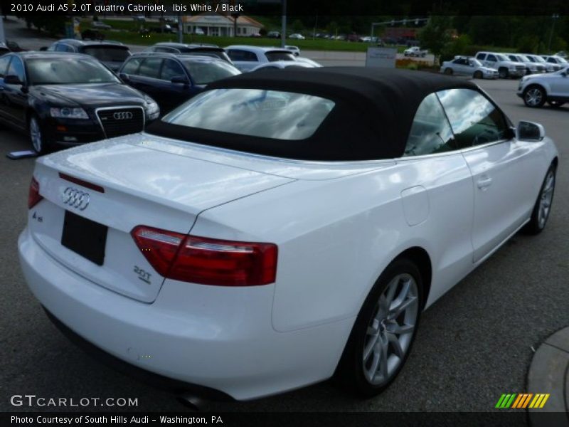 Ibis White / Black 2010 Audi A5 2.0T quattro Cabriolet