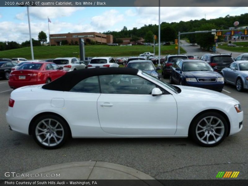 Ibis White / Black 2010 Audi A5 2.0T quattro Cabriolet