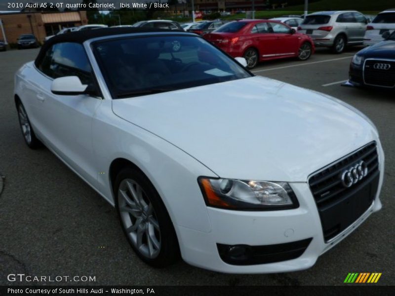 Ibis White / Black 2010 Audi A5 2.0T quattro Cabriolet