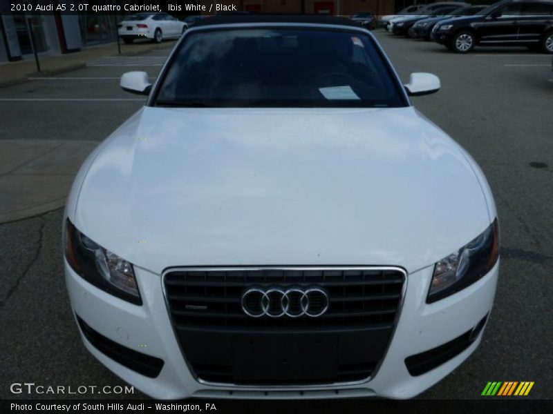Ibis White / Black 2010 Audi A5 2.0T quattro Cabriolet