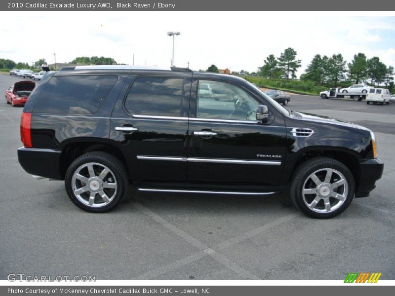 Black Raven / Ebony 2010 Cadillac Escalade Luxury AWD