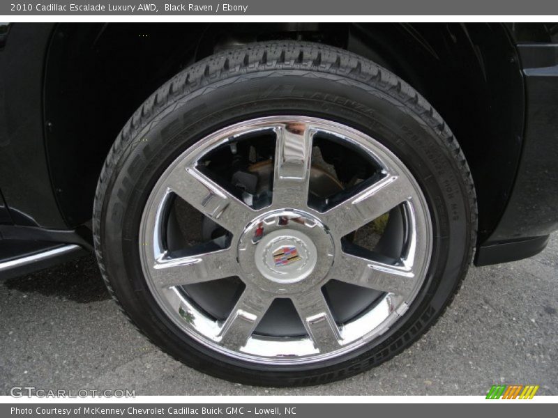Black Raven / Ebony 2010 Cadillac Escalade Luxury AWD