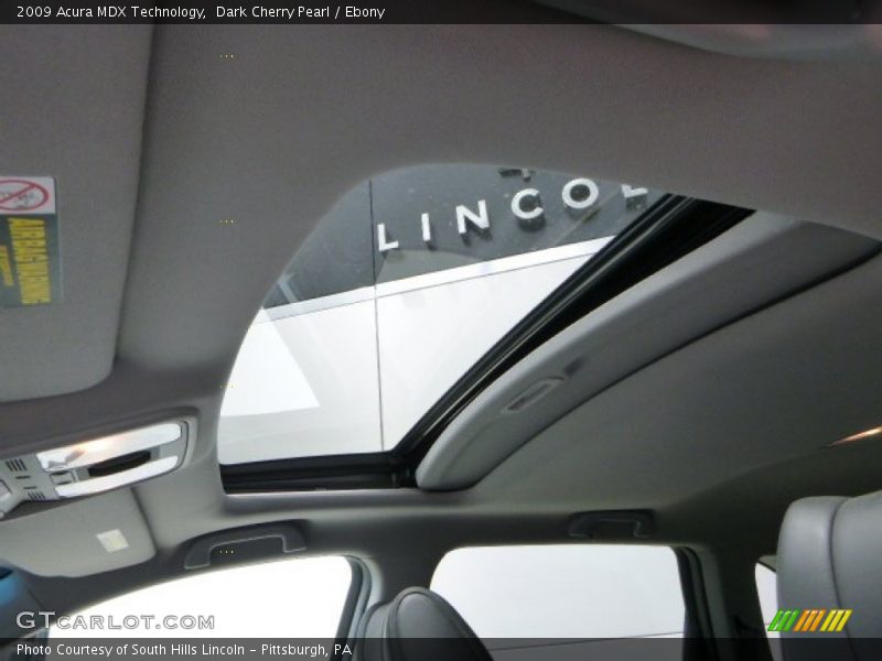 Dark Cherry Pearl / Ebony 2009 Acura MDX Technology