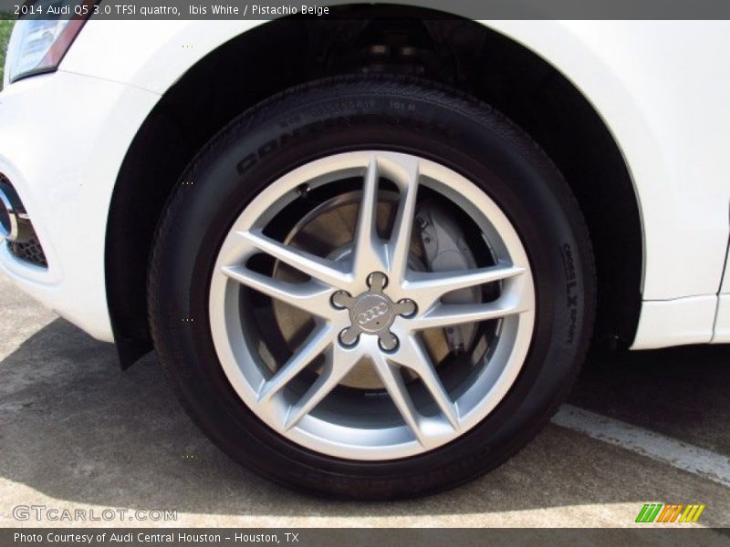 Ibis White / Pistachio Beige 2014 Audi Q5 3.0 TFSI quattro