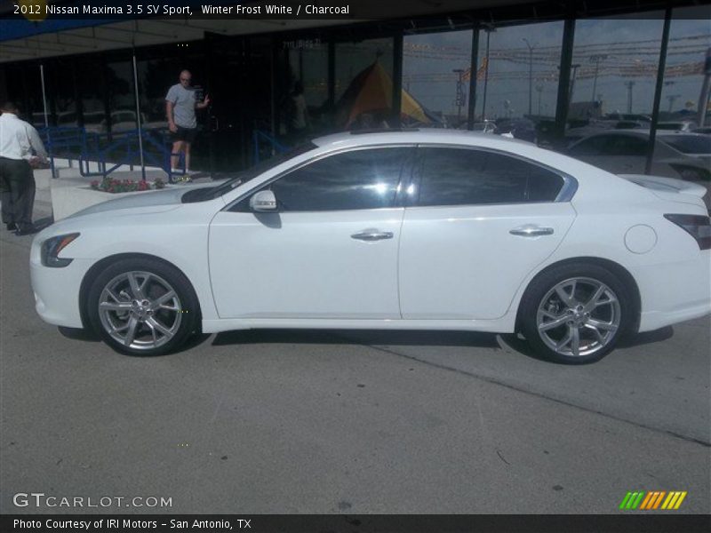 Winter Frost White / Charcoal 2012 Nissan Maxima 3.5 SV Sport