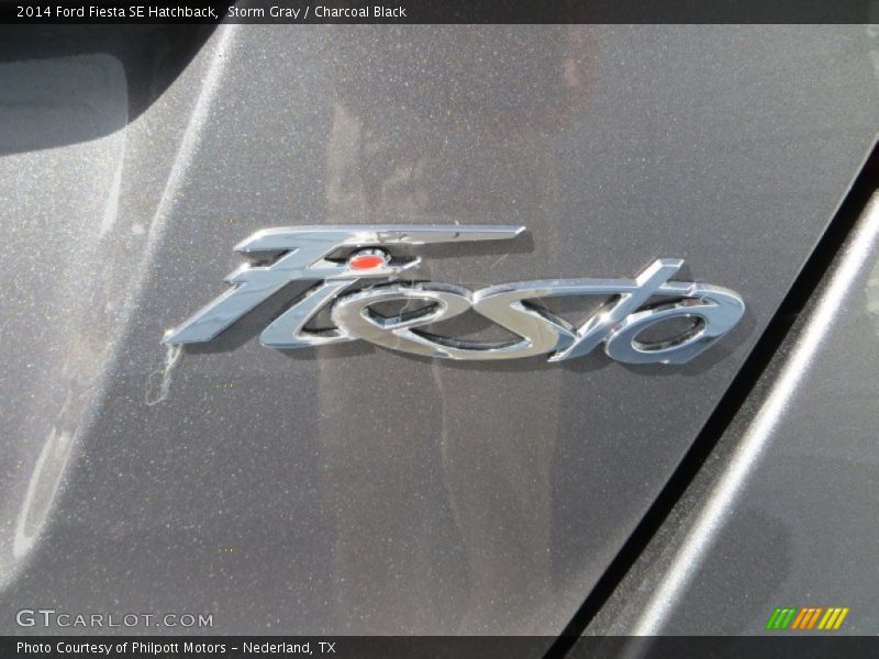 Storm Gray / Charcoal Black 2014 Ford Fiesta SE Hatchback