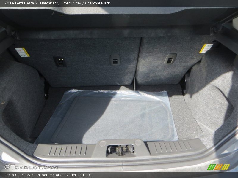 Storm Gray / Charcoal Black 2014 Ford Fiesta SE Hatchback