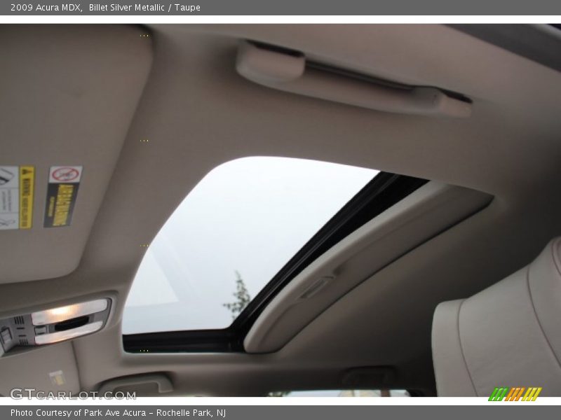 Billet Silver Metallic / Taupe 2009 Acura MDX