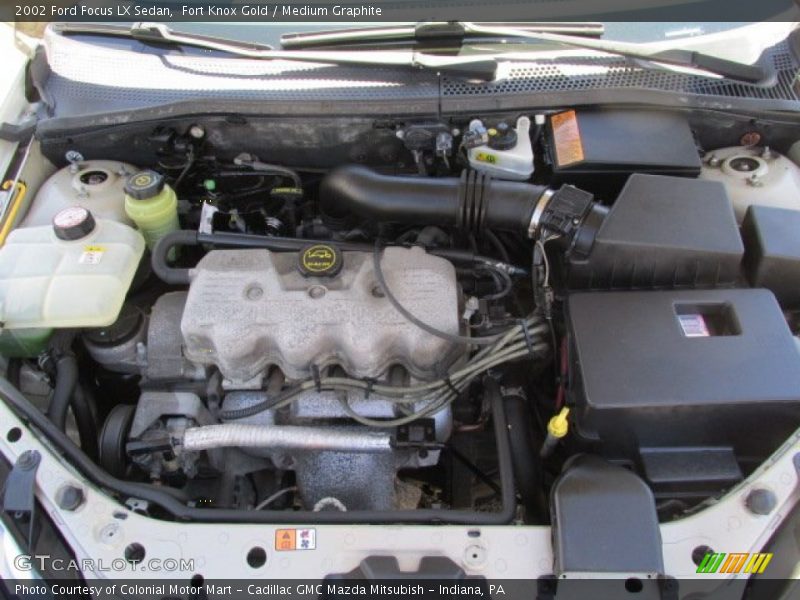 Fort Knox Gold / Medium Graphite 2002 Ford Focus LX Sedan