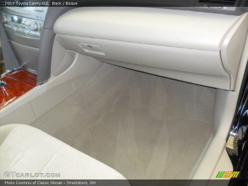 Black / Bisque 2009 Toyota Camry XLE