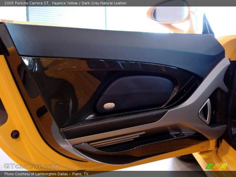 Door Panel of 2005 Carrera GT 