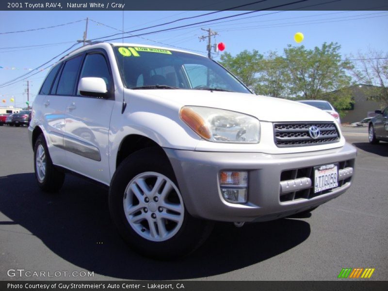 Natural White / Gray 2001 Toyota RAV4