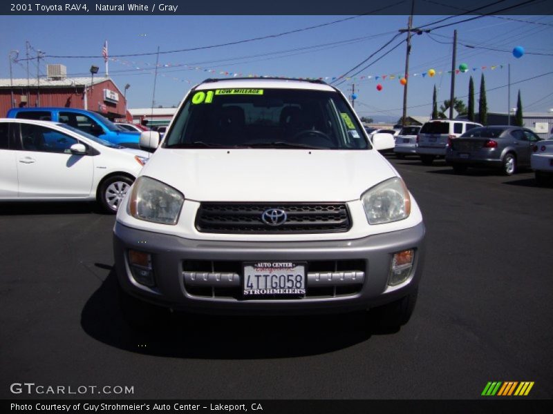 Natural White / Gray 2001 Toyota RAV4