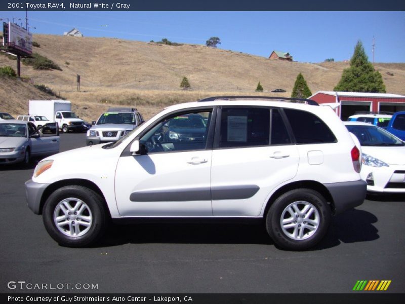 Natural White / Gray 2001 Toyota RAV4