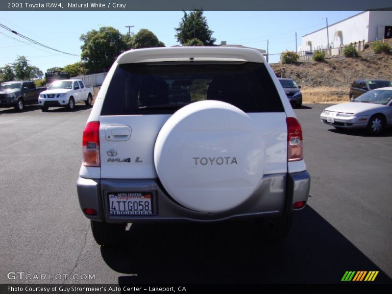 Natural White / Gray 2001 Toyota RAV4