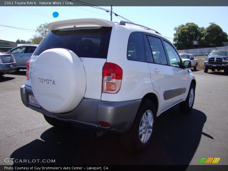 Natural White / Gray 2001 Toyota RAV4