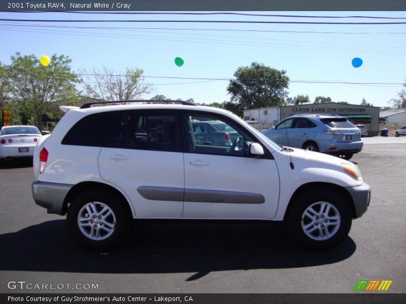 Natural White / Gray 2001 Toyota RAV4