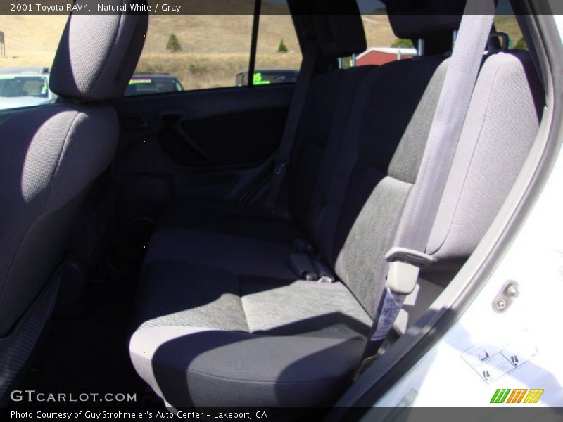Natural White / Gray 2001 Toyota RAV4