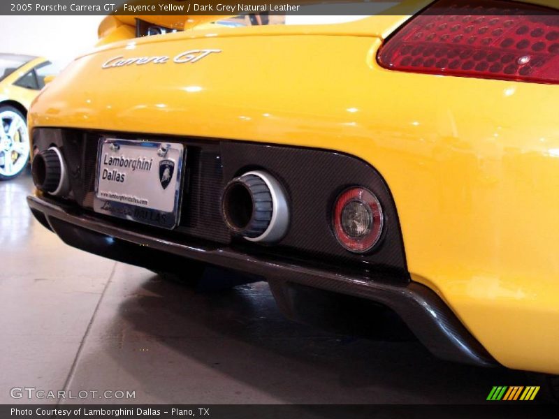 Fayence Yellow / Dark Grey Natural Leather 2005 Porsche Carrera GT