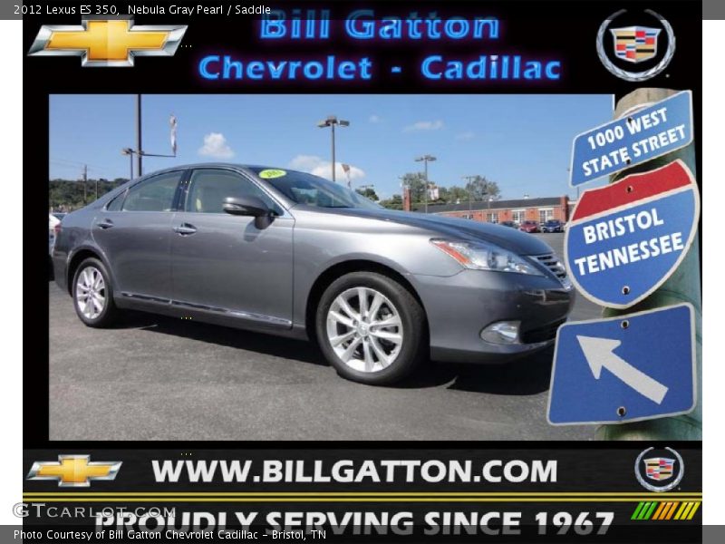 Nebula Gray Pearl / Saddle 2012 Lexus ES 350