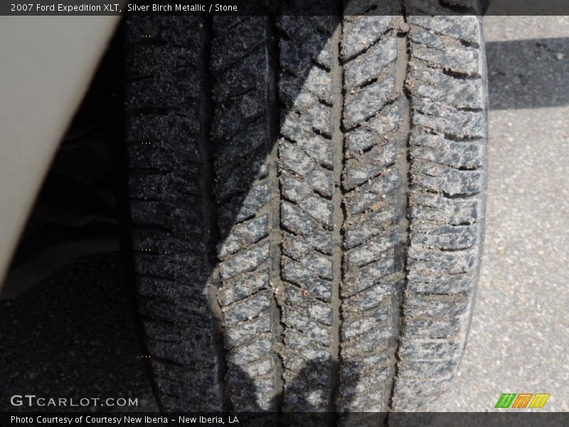 Silver Birch Metallic / Stone 2007 Ford Expedition XLT