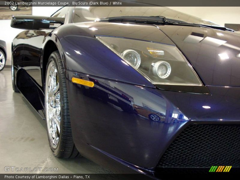 Blu Scuro (Dark Blue) / White 2002 Lamborghini Murcielago Coupe