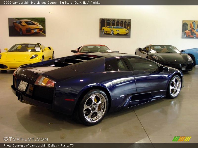 Blu Scuro (Dark Blue) / White 2002 Lamborghini Murcielago Coupe