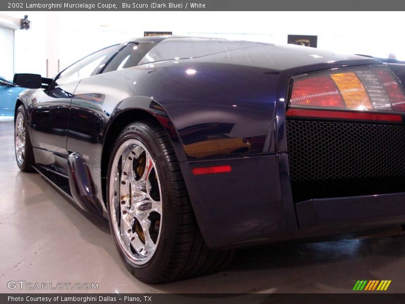 Blu Scuro (Dark Blue) / White 2002 Lamborghini Murcielago Coupe