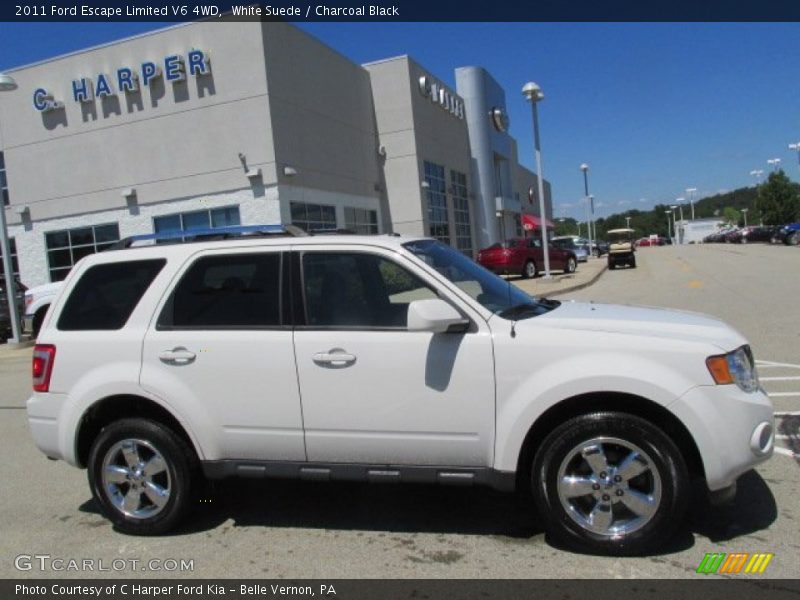 White Suede / Charcoal Black 2011 Ford Escape Limited V6 4WD