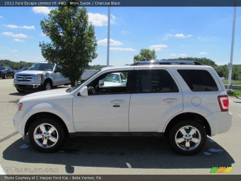 White Suede / Charcoal Black 2011 Ford Escape Limited V6 4WD
