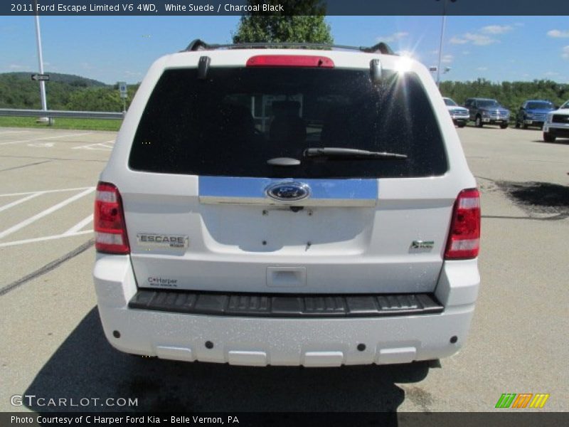 White Suede / Charcoal Black 2011 Ford Escape Limited V6 4WD