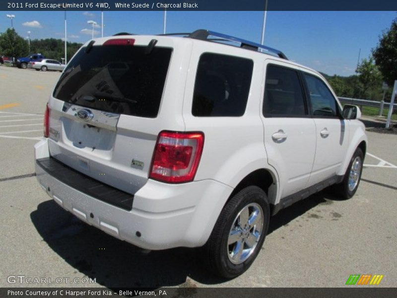White Suede / Charcoal Black 2011 Ford Escape Limited V6 4WD